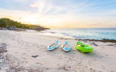 Anguilla’s Dune Preserve: A Legendary Beach Bar Built from Driftwood and Shipwrecks