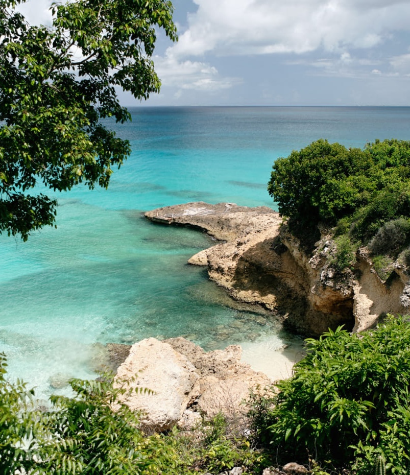 anguilla-nature-1